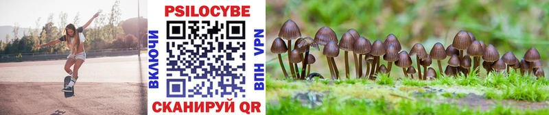 Купить где  Реутов  Галлюциногенные грибы мицелий 